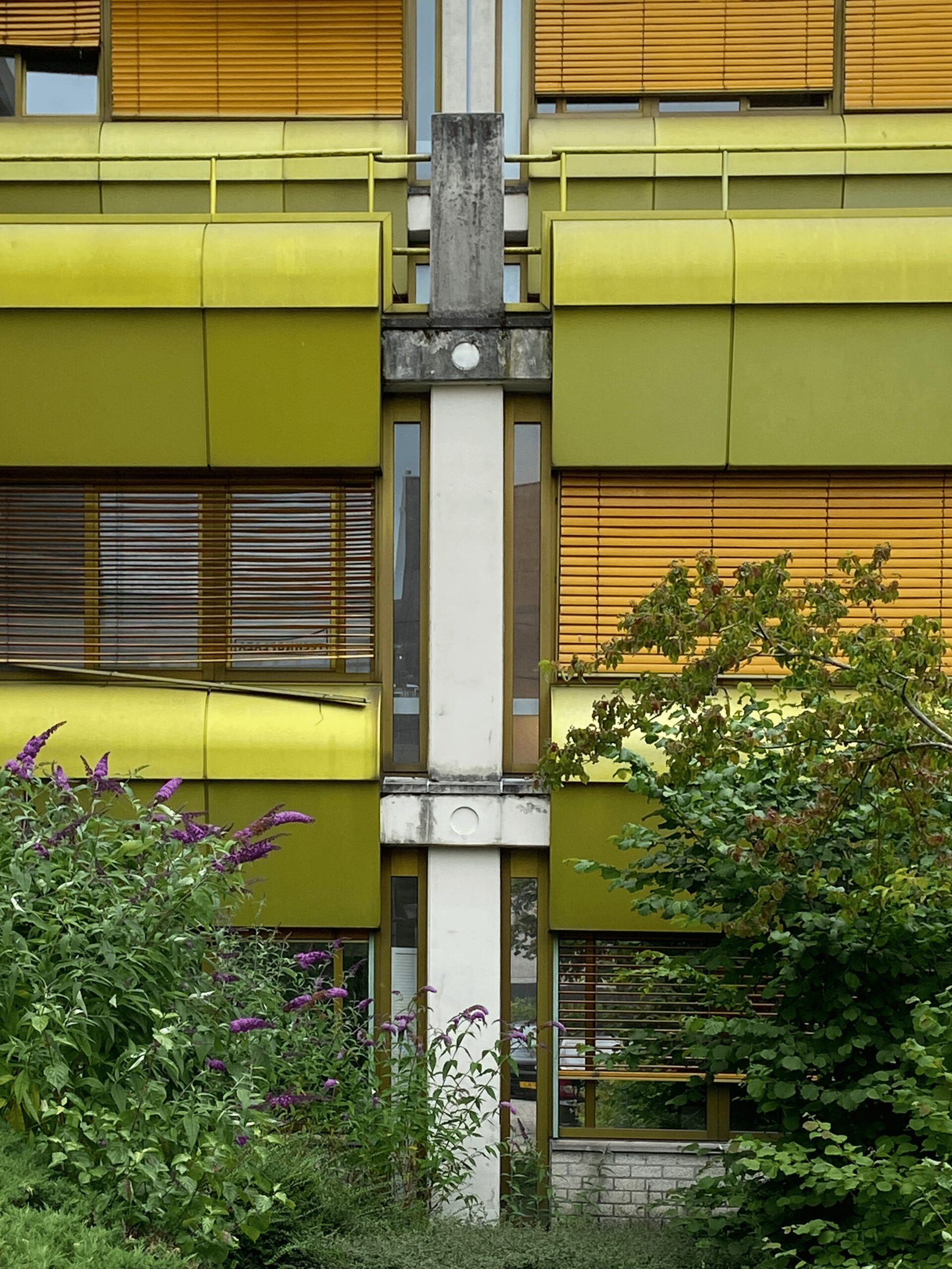 Rijnboutt Zoetemeer